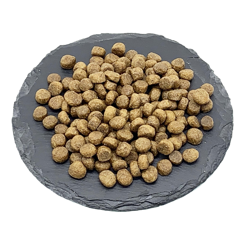 Billede af Foderprøve ProBiotic LIVE Adult MINI - voksenfoder med laks til små hunderacer