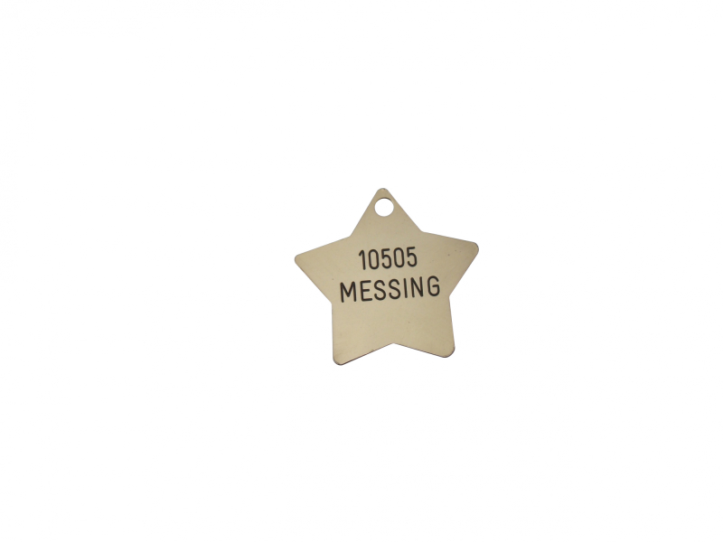 #3 - Stjerneformet hundetegn i messing - 33 mm