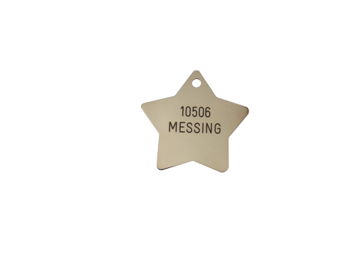 Stjerneformet hundetegn i messing - 41 mm Stjerneformet hundetegn i messing - 41 mm