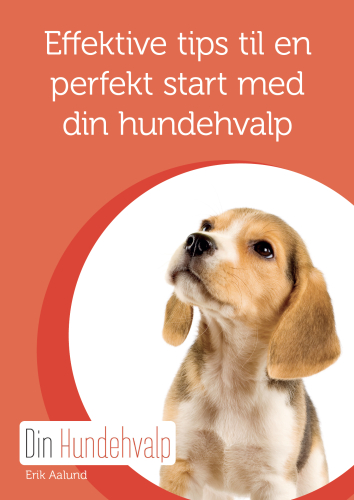 lærer begrænse krak Hvalpebog - få en effektiv med din hunde hvalp, kun kr. 89,00