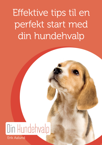 få en effektiv med din hunde hvalp, kun kr. 89,00