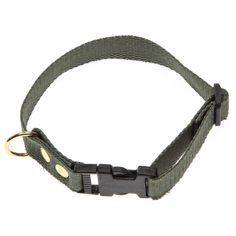 Grønt Halsbånd – Halsrem 25 mm x 60 cm i webbing