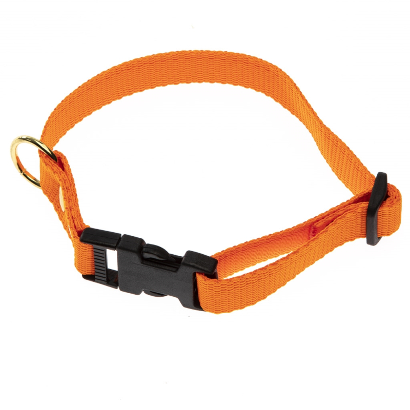 #3 - Orange Halsbånd - Halsrem 25 mm x 60 cm i webbing