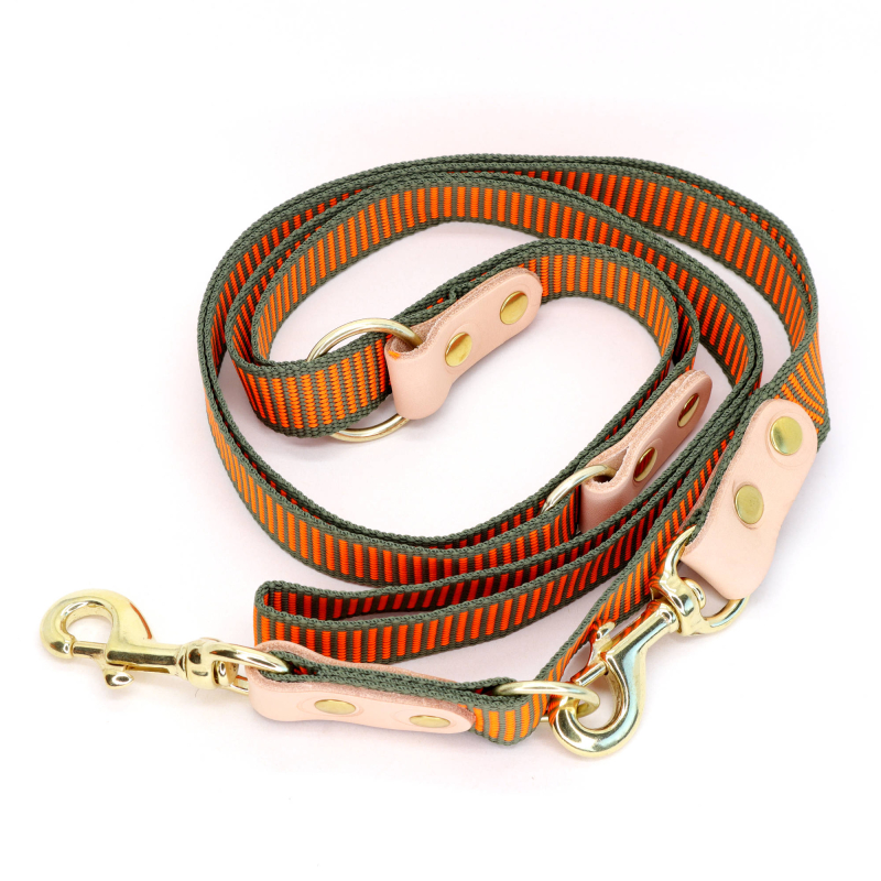 #1 - 2-farvet hundesnor med karabinhage - Dressurline 25 mm x 250 cm webbing