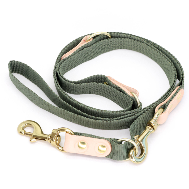 #3 - Grøn Hundesnor med karabinhage - Dressurline 25 mm x 250 cm i webbing