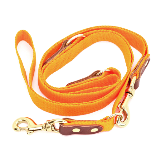 Orange hundesnor med karabinhage - Dressurline 25 mm x 250 cm i webbing