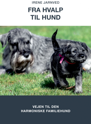 Fra Hvalp til Hund, Irene Jarnved