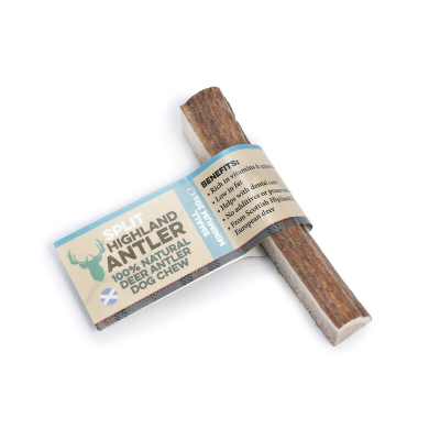 Antler - Hjortegevir SPLIT - et hjortegevir delt på midten på langs.